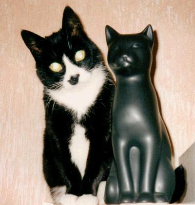 katze neben katzenfigur