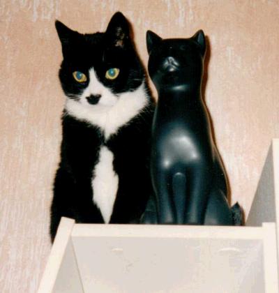 katze neben katzenfigur